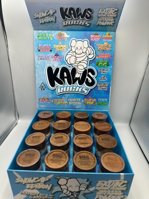 KAWS ROCKS - Kaws Snowcap