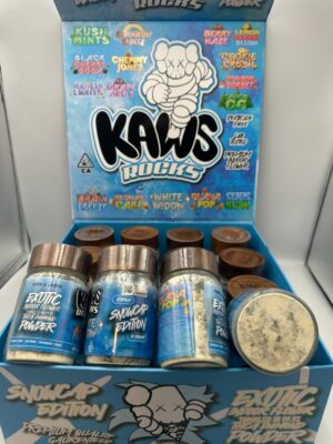 KAWS ROCKS - Kaws Snowcap