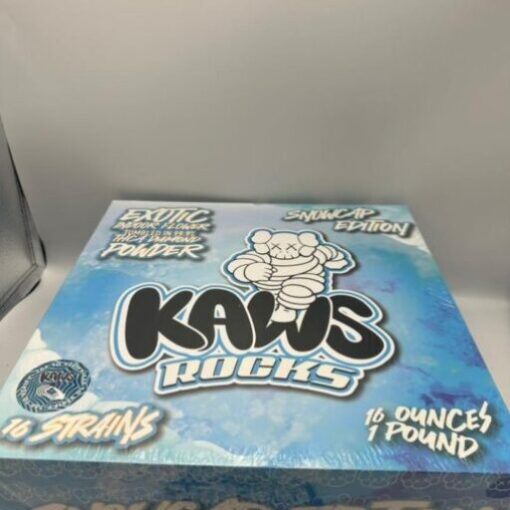 KAWS ROCKS - Kaws Snowcap